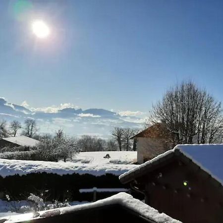 5 Min Des Pistes De Ski Grand Studio Mezzanine Viuz-en-Sallaz Экстерьер фото